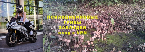 a pvp Абаза